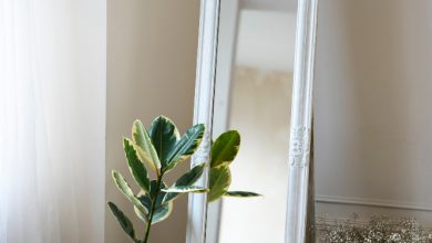 Photo of Стекло и зеркала в интерьере