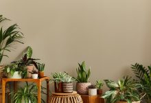 Photo of Растения в декоре помещения